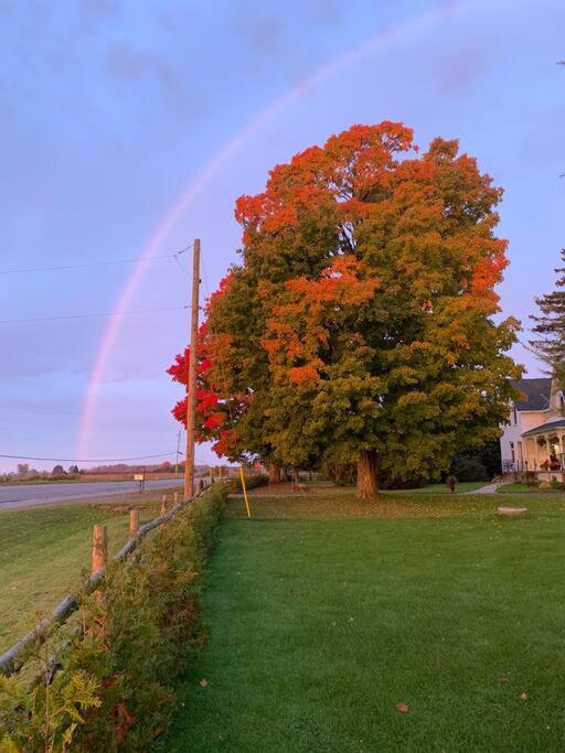 The Barns Of Brighton Near Prince Edward County ภายนอก รูปภาพ